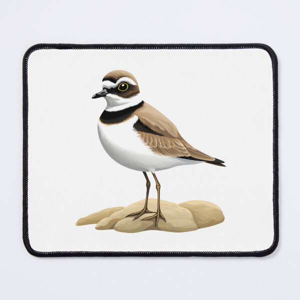 Item preview, Little Ringed Plover designed and sold by DerSenat.