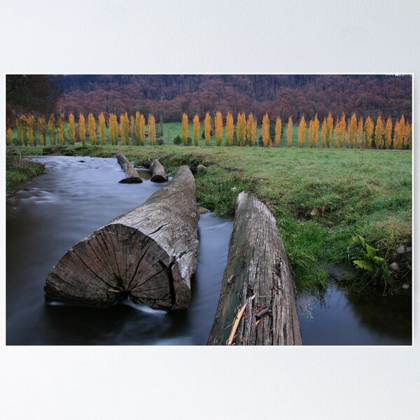 Aperçu de l'œuvre Marysville still stunning.. créée et vendue par Donovan Wilson.