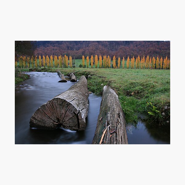 Item preview, Marysville still stunning.. designed and sold by Donovan Wilson.