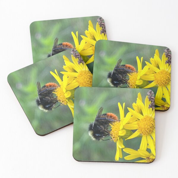 Item preview, The pollinator  designed and sold by laferte77.
