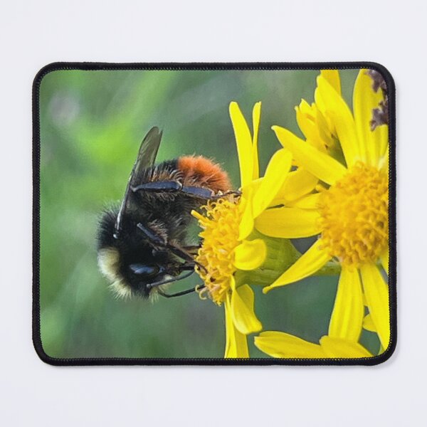Item preview, The pollinator  designed and sold by laferte77.