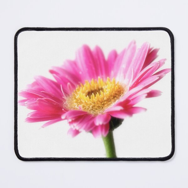 Item preview, Gerbera Daisy 1 designed and sold by Tanya C  Smith.