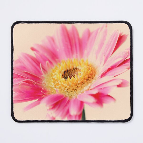Item preview, Gerbera Daisy 2 designed and sold by Tanya C  Smith.