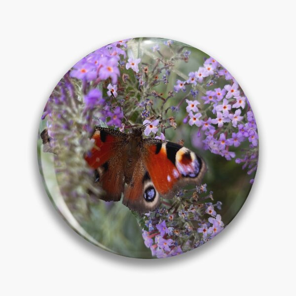 Artikelvorschau, Der Schmetterling auf der Blume  entworfen und verkauft von laferte77.
