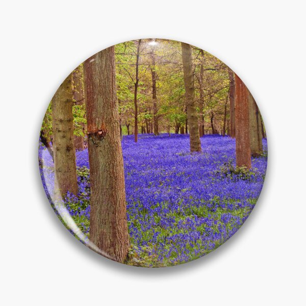 Item preview, Bluebell Woods Greys Court Oxfordshire England designed and sold by AndyEvansPhotos.