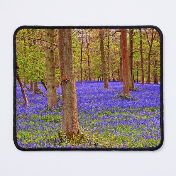 Item preview, Bluebell Woods Greys Court Oxfordshire England designed and sold by AndyEvansPhotos.