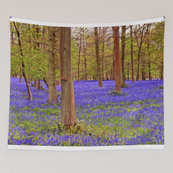 Item preview, Bluebell Woods Greys Court Oxfordshire England designed and sold by AndyEvansPhotos.