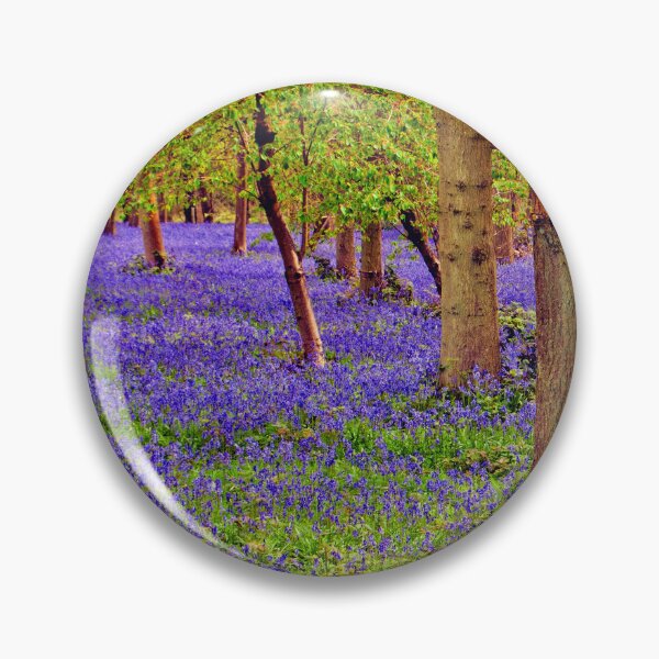 Item preview, Bluebell Woods Greys Court Oxfordshire England designed and sold by AndyEvansPhotos.