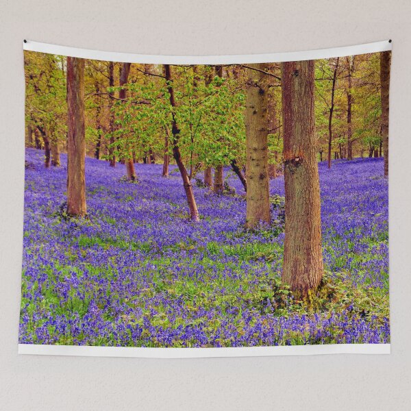 Item preview, Bluebell Woods Greys Court Oxfordshire England designed and sold by AndyEvansPhotos.