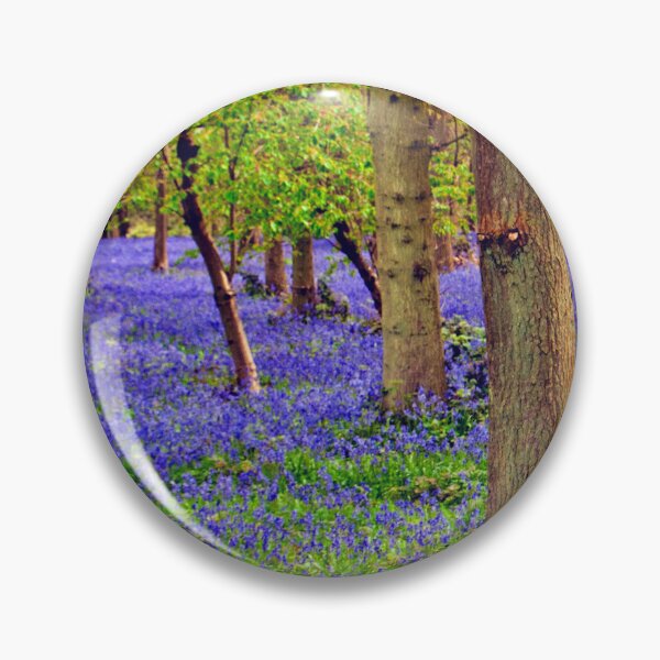 Item preview, Bluebell Woods Greys Court Oxfordshire England designed and sold by AndyEvansPhotos.