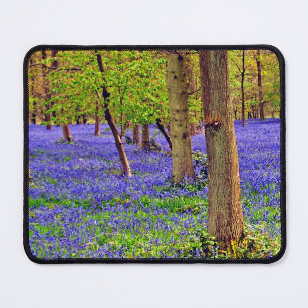 Item preview, Bluebell Woods Greys Court Oxfordshire England designed and sold by AndyEvansPhotos.