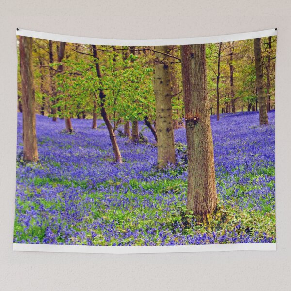 Item preview, Bluebell Woods Greys Court Oxfordshire England designed and sold by AndyEvansPhotos.