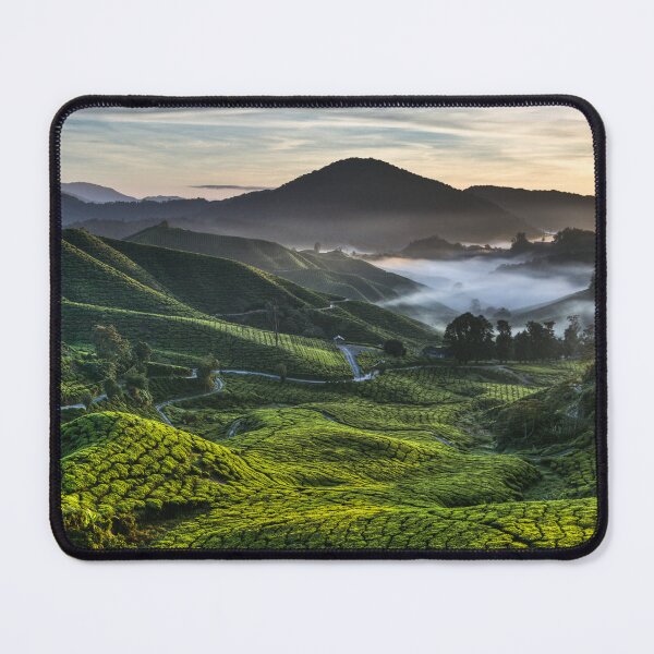 Item preview, Tea Plantation at Dawn designed and sold by David Bowman.