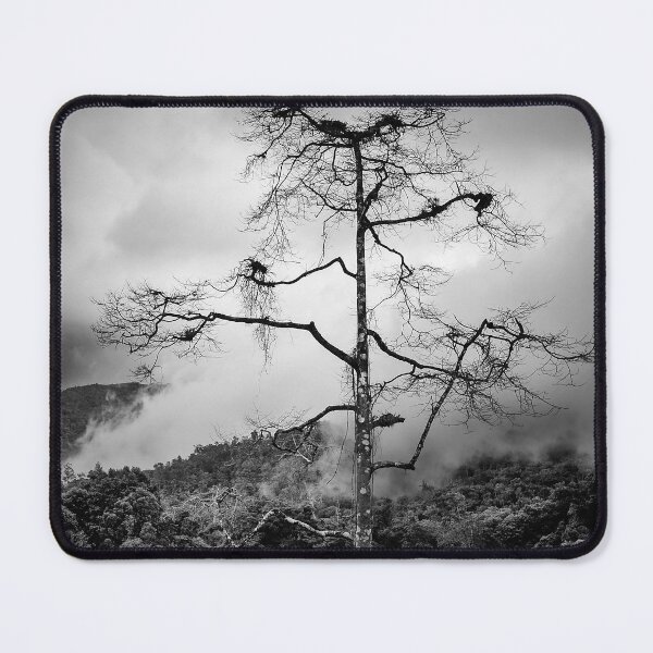 Item preview, Solitary Tree designed and sold by David Bowman.
