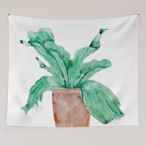Item preview, Green Platycerium bifurcatum Houseplant in pot original hand painted watercolour designed and sold by ColorandColor.