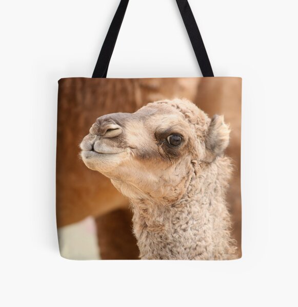 Item preview, Small camel, UAE  designed and sold by sylvianik.
