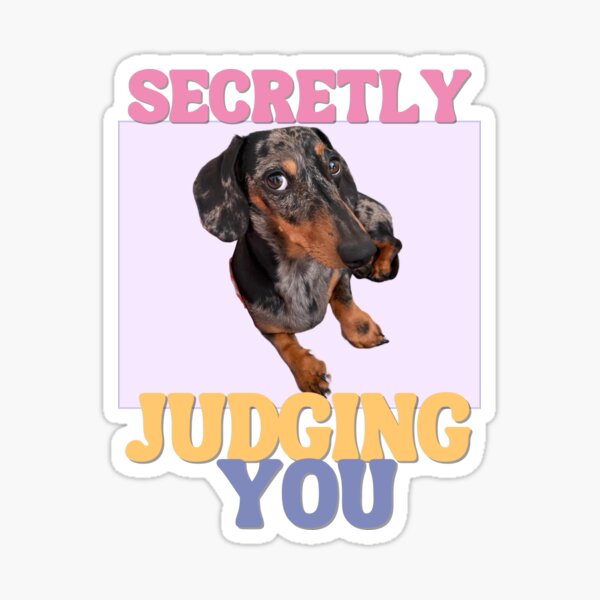 Item preview, Secretly judging you - Dachshund designed and sold by SamsWonderland1.