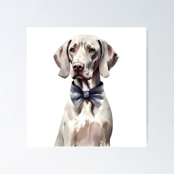 Item preview, Braco de Weimar dog in watercolor designed and sold by ThePinkyPoodle.