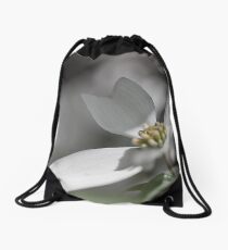 Dogwood Tree in Full Bloom This Season Drawstring Bag