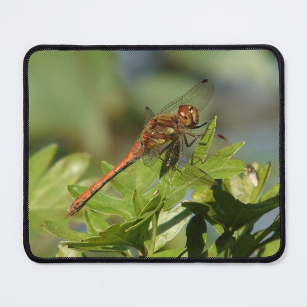 Item preview, The Dragonfly designed and sold by FastRapidash.
