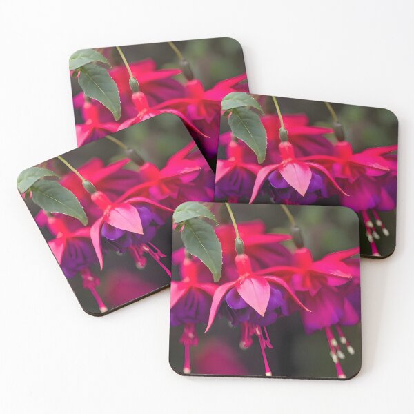 Item preview, Fuchsia designed and sold by Mahmoud Salah.
