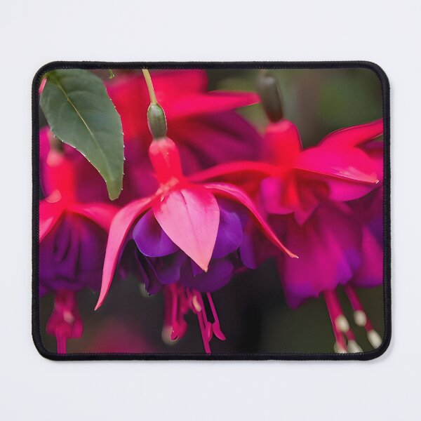 Item preview, Fuchsia designed and sold by Mahmoud Salah.
