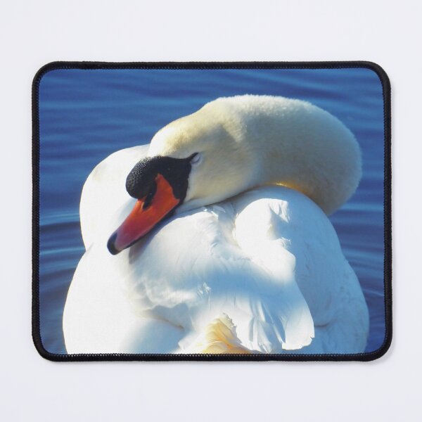 Item preview, Sleeping Mute Swan designed and sold by FastRapidash.