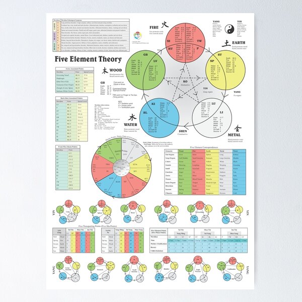 Item preview, Color Five Elements Acupuncture Points Poster designed and sold by bodyofelements.