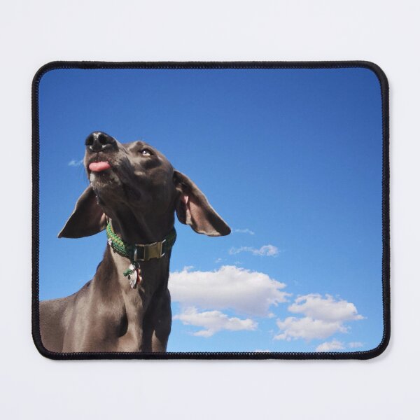 Item preview, The Weimaraner designed and sold by MatEz.