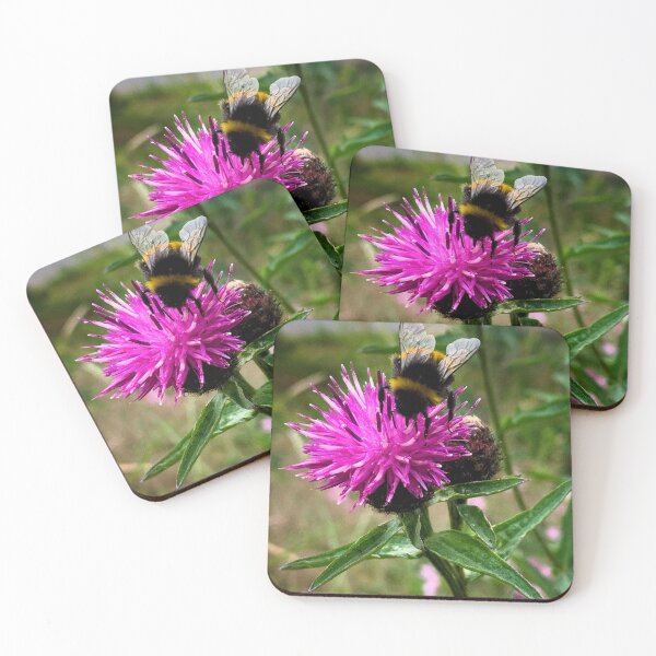 Item preview, Common Knapweed with bee designed and sold by Charles Oliver Creations.