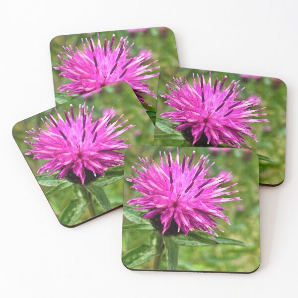 Item preview, Common Knapweed 1 designed and sold by Charles Oliver Creations.