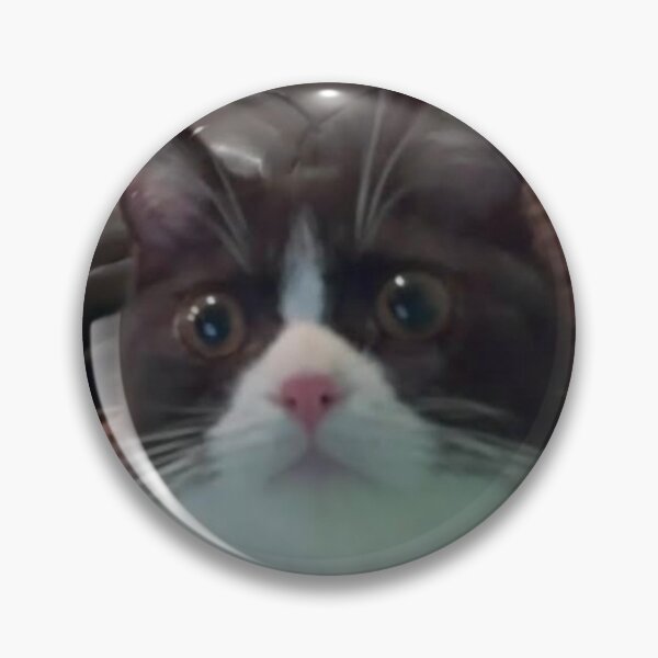 Item preview, frank tried to unlock your phone designed and sold by maxgilbert5000.