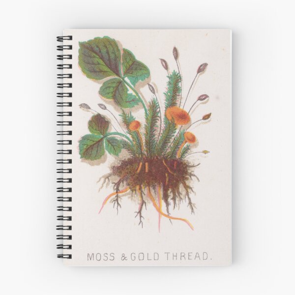 Item preview, Moss & Gold Thread - 1860s American Lithograph design designed and sold by cheeseburgercat.