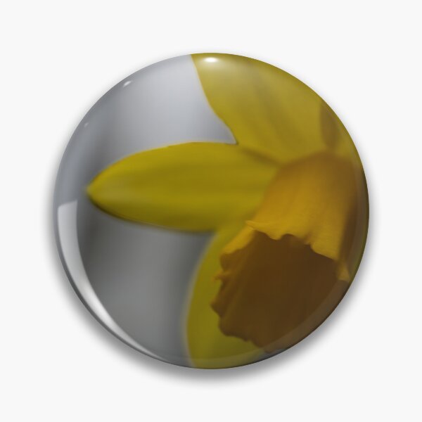 Item preview, Daffodil designed and sold by Calidris Fotografie Steffi & Ben Köppler.