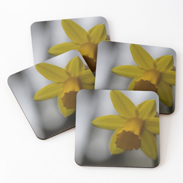Item preview, Daffodil designed and sold by Calidris Fotografie Steffi & Ben Köppler.