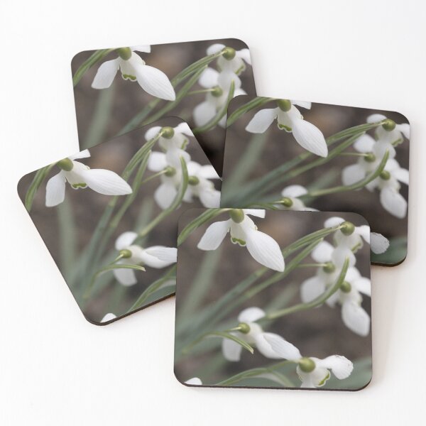 Item preview, Snowdrops designed and sold by Calidris Fotografie Steffi & Ben Köppler.