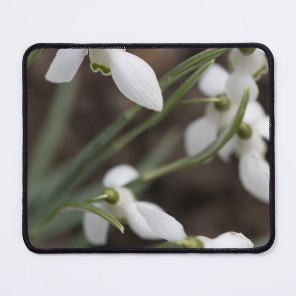 Item preview, Snowdrops designed and sold by Calidris Fotografie Steffi & Ben Köppler.