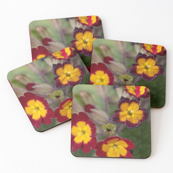 Item preview, Primrose designed and sold by Calidris Fotografie Steffi & Ben Köppler.