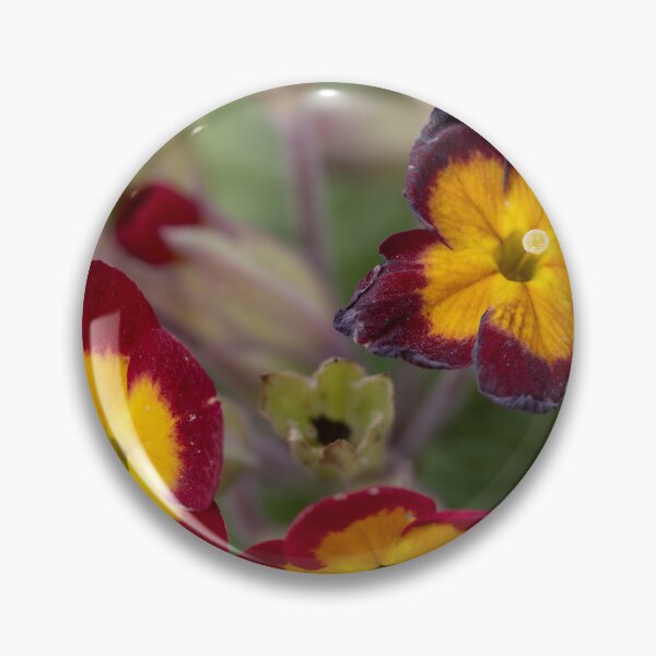 Item preview, Primrose designed and sold by Calidris Fotografie Steffi & Ben Köppler.