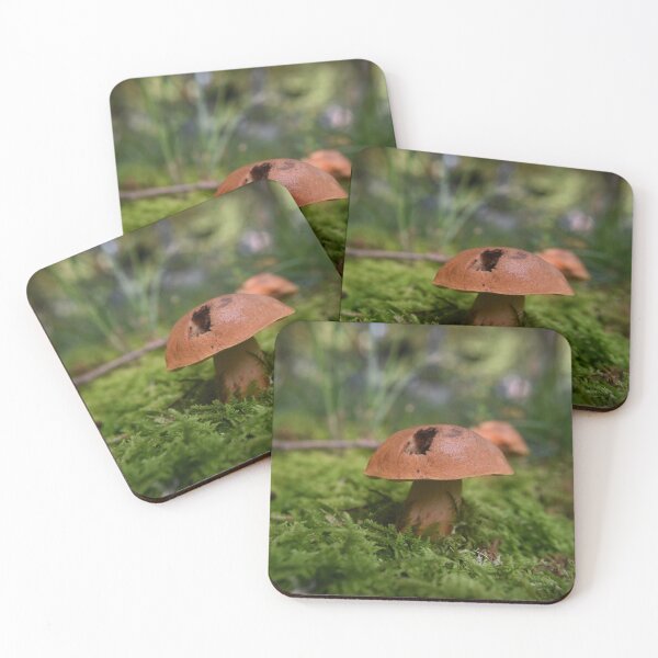 Item preview, Mushrooms and moss designed and sold by Tonia Delozier's Photography .