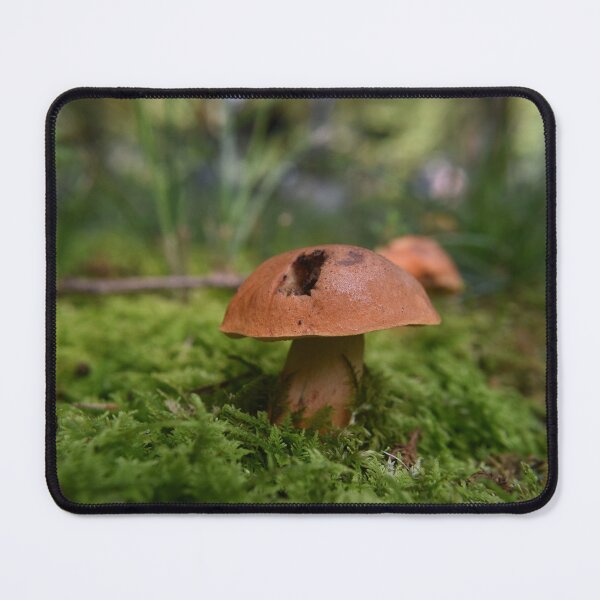 Item preview, Mushrooms and moss designed and sold by Tonia Delozier's Photography .