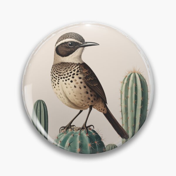 Item preview, Cactus wren, cactus bird, Vintage Bird Art, Arizona state bird designed and sold by lagunaklein.