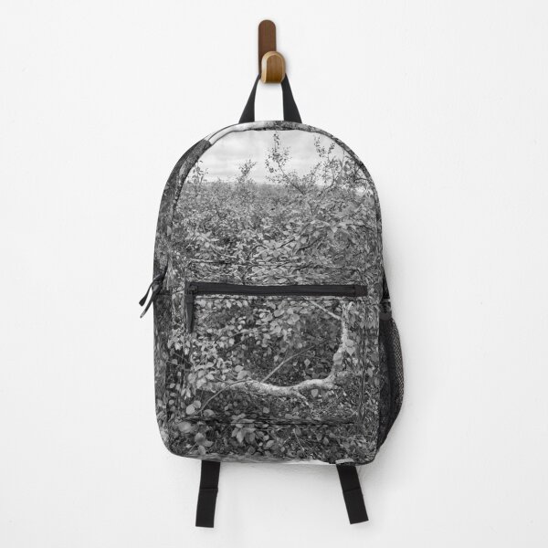 Item preview, Birch of Kiilopaa 2 bw designed and sold by Jouko Lehto Photography.