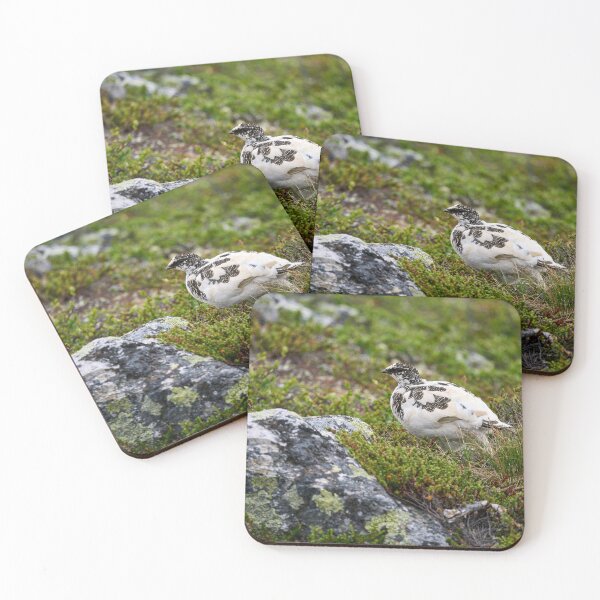 Item preview, Stepping by. Rock ptarmigan Kiilopaa designed and sold by Jouko Lehto Photography.