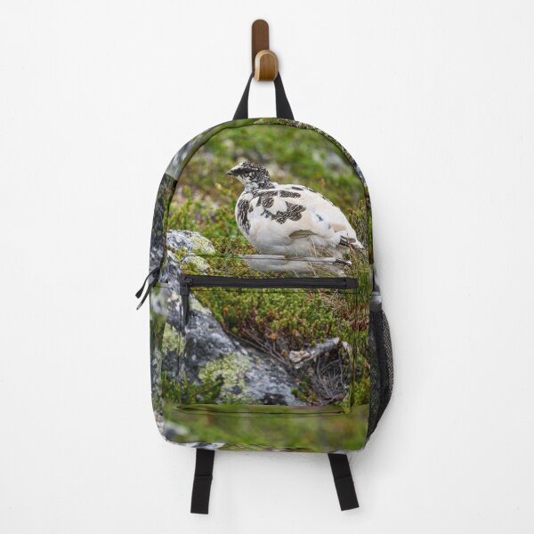 Item preview, Stepping by. Rock ptarmigan Kiilopaa designed and sold by Jouko Lehto Photography.