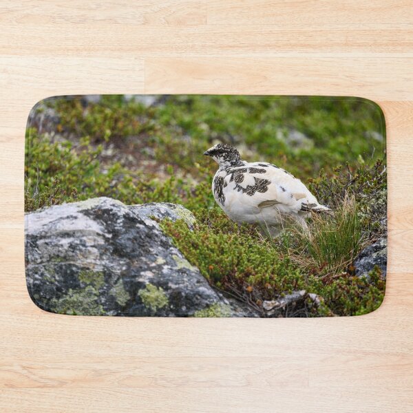 Item preview, Stepping by. Rock ptarmigan Kiilopaa designed and sold by Jouko Lehto Photography.