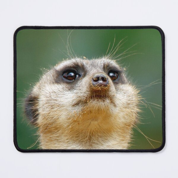 Item preview, Meerkat 051 designed and sold by JAMFoto.
