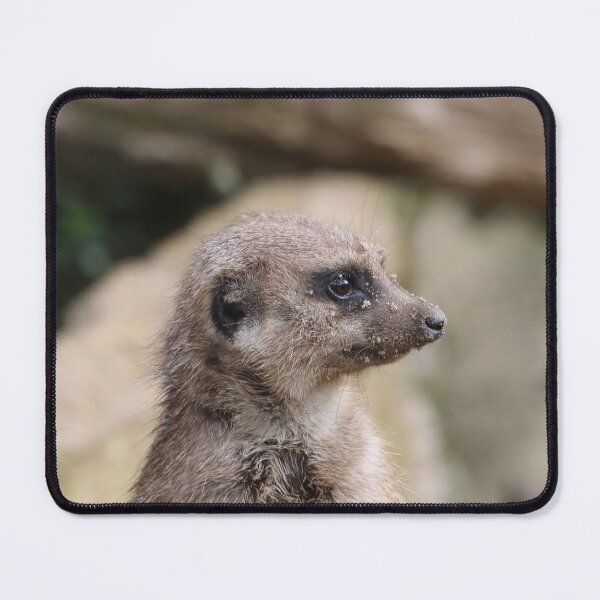 Item preview, Meerkat 072 designed and sold by JAMFoto.