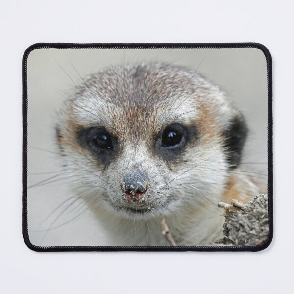 Item preview, Meerkat 070 designed and sold by JAMFoto.
