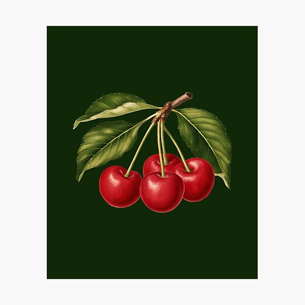 Item preview, Crimson Delight designed and sold by MOVALENDA.
